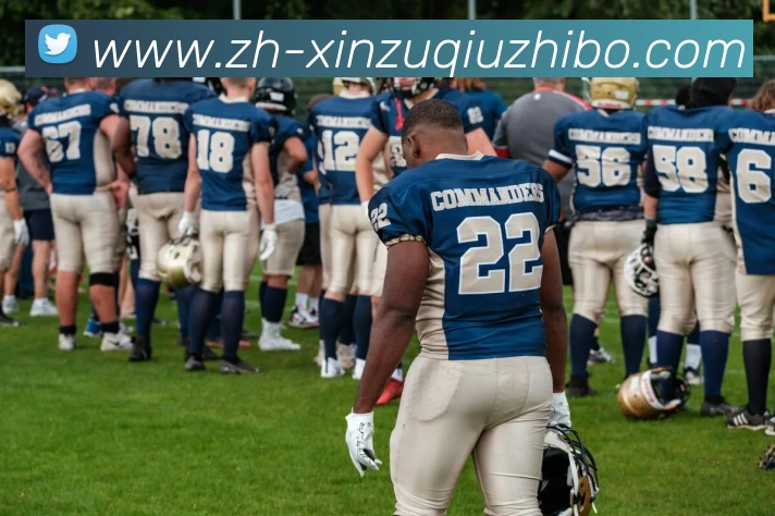 新足球直播服务体系